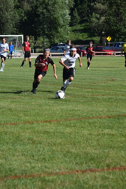 歷史案例 歷史案例